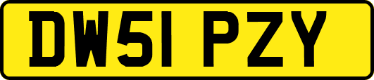DW51PZY