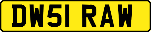 DW51RAW