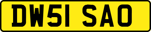 DW51SAO