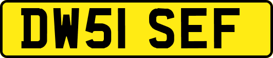 DW51SEF