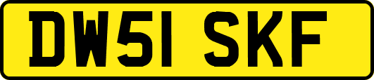 DW51SKF