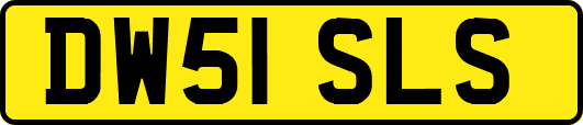 DW51SLS