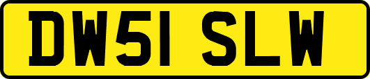 DW51SLW