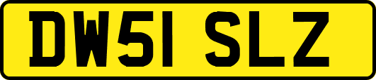 DW51SLZ