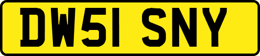 DW51SNY