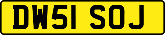 DW51SOJ