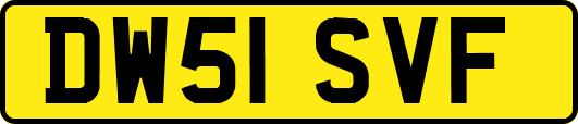 DW51SVF