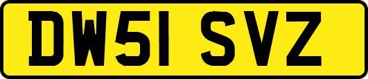 DW51SVZ