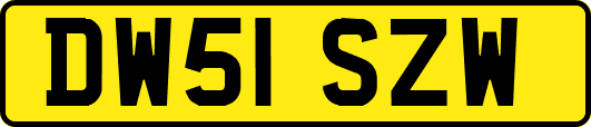 DW51SZW