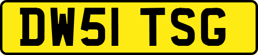 DW51TSG