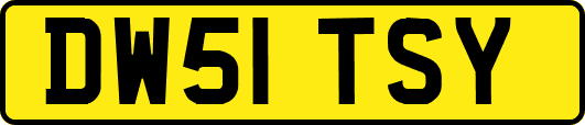 DW51TSY
