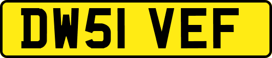 DW51VEF