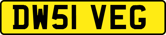 DW51VEG