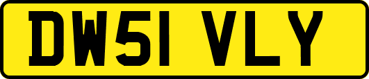 DW51VLY