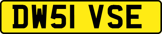 DW51VSE