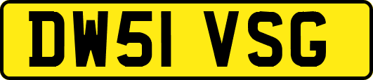 DW51VSG