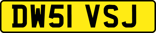 DW51VSJ