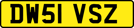 DW51VSZ