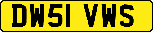 DW51VWS