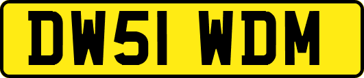 DW51WDM