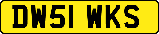 DW51WKS
