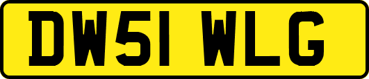 DW51WLG