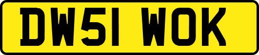 DW51WOK