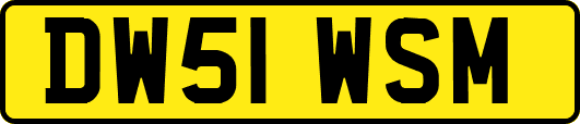 DW51WSM