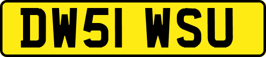 DW51WSU