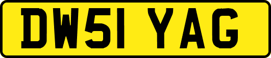 DW51YAG