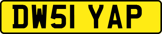 DW51YAP