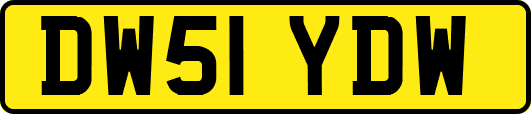 DW51YDW