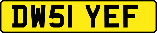 DW51YEF