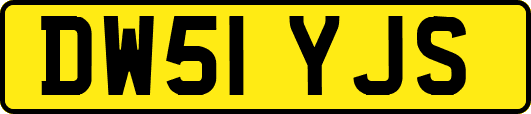 DW51YJS