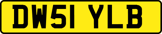 DW51YLB
