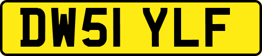 DW51YLF