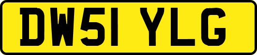 DW51YLG