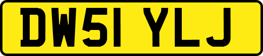 DW51YLJ