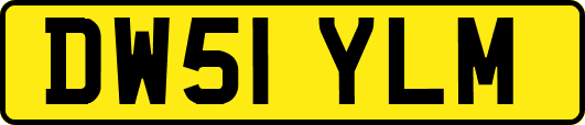DW51YLM
