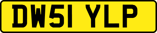 DW51YLP