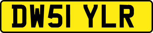 DW51YLR