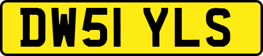DW51YLS