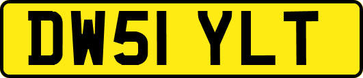 DW51YLT