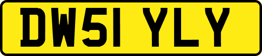DW51YLY