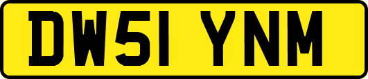 DW51YNM