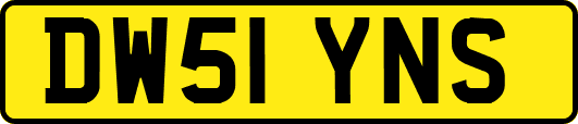 DW51YNS