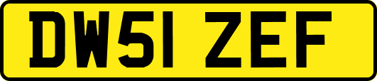 DW51ZEF
