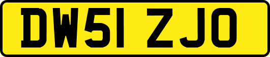 DW51ZJO