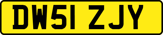 DW51ZJY