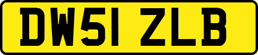 DW51ZLB